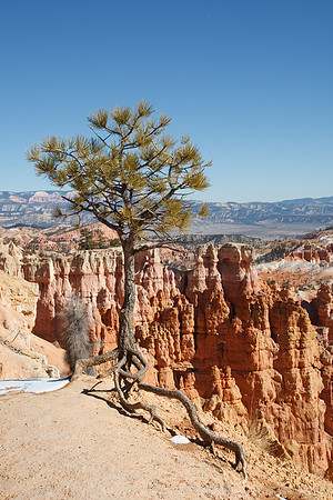 Bryce Canyon NP
