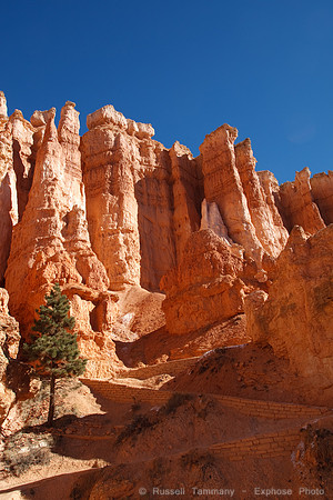Bryce Canyon NP