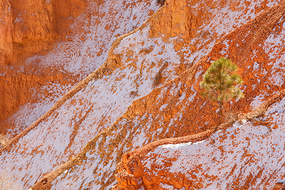 Bryce Canyon NP
