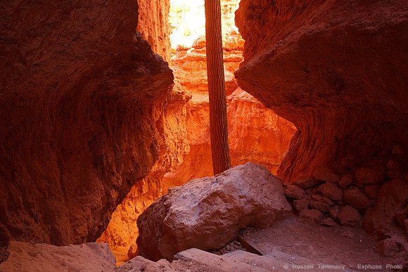 Bryce Canyon NP
