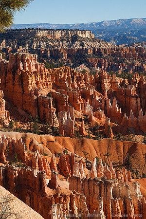 Bryce Canyon NP