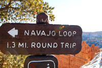 Bryce Canyon NP