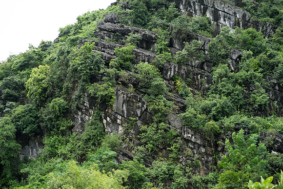 DSC04995