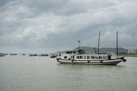 DSC05231