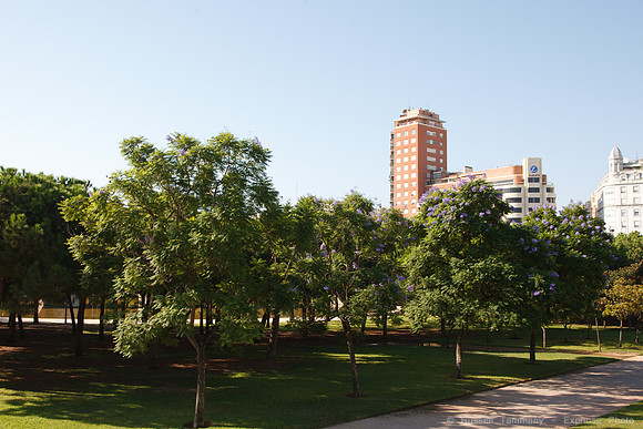 Valencia