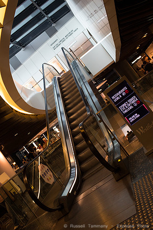 1DX_6891