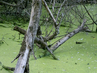 DSCF1058