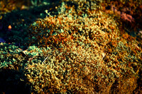 1D3_6777