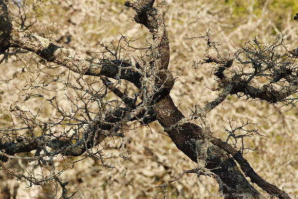 1D3_6774