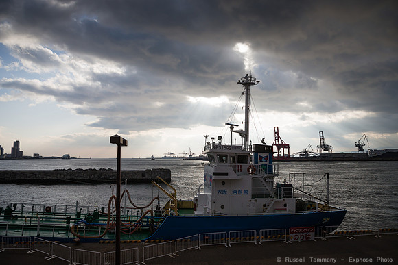 1DX_6456