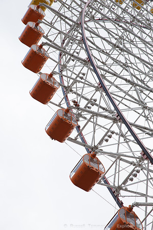 1DX_6279