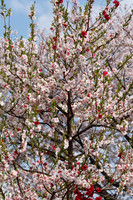 1DX_5772