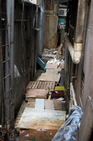 DSC07919