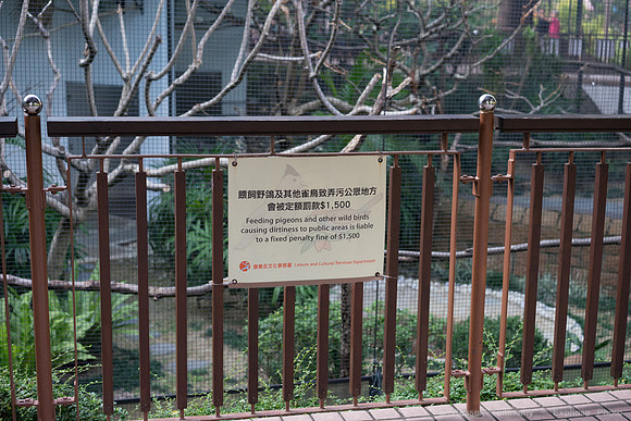 DSC08004