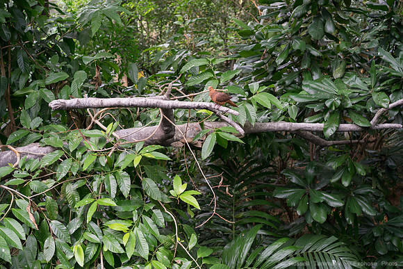 DSC09179