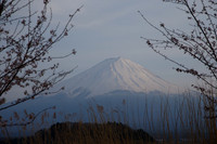 1DX_6950