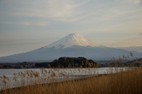 1DX_6944