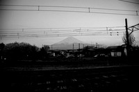1DX_7039
