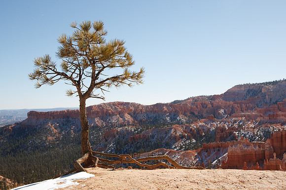 Bryce Canyon NP