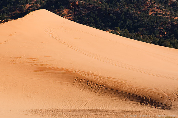 Coral Pink Sand Dunes State Park, UT