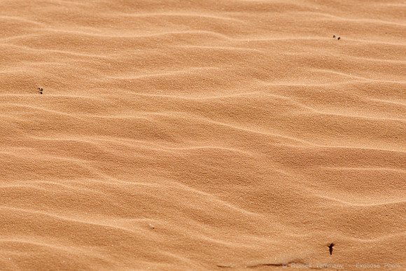 Coral Pink Sand Dunes State Park, UT