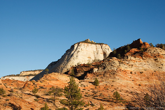 Zion NP, UT