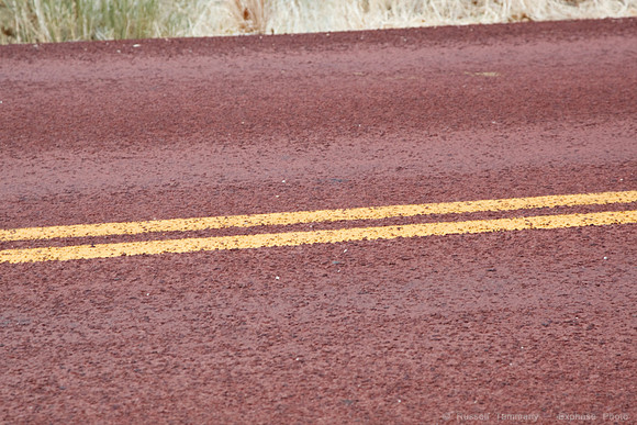 Zion NP, UT
