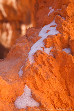 Bryce Canyon NP
