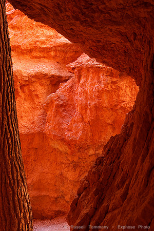 Bryce Canyon NP