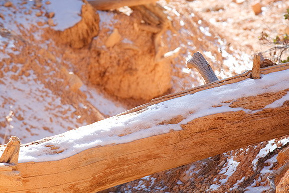Bryce Canyon NP