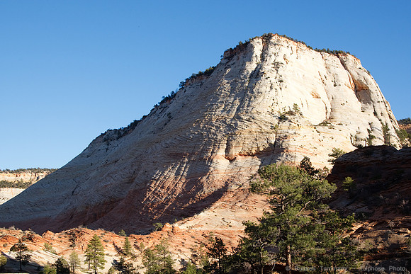 Zion NP, UT