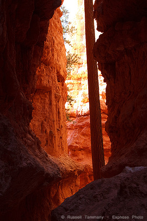 Bryce Canyon NP