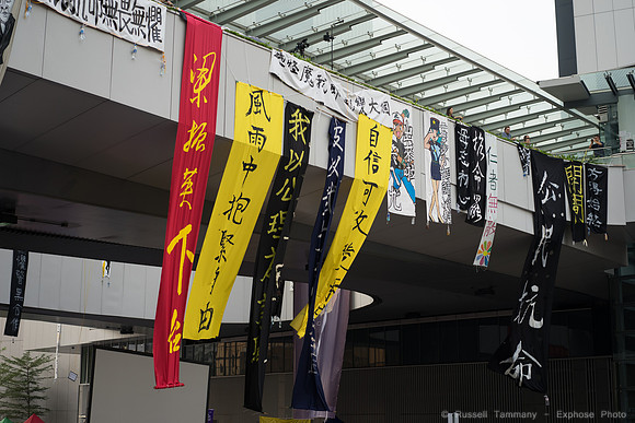 DSC09203