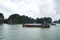 DSC05238