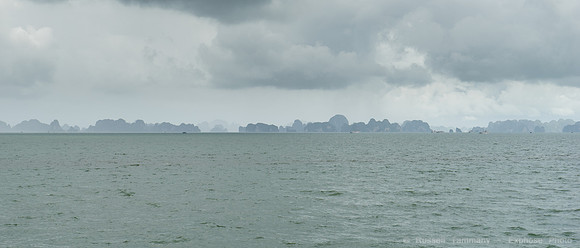 DSC05439