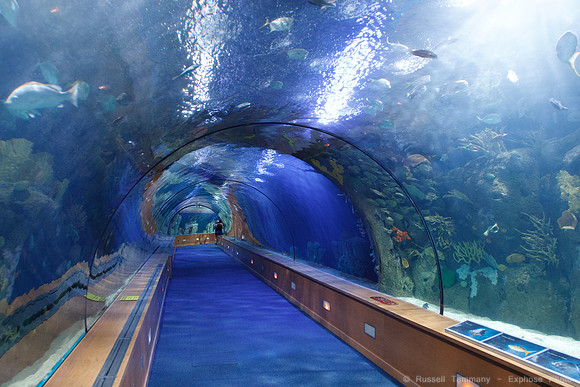 Valencia - Oceanografic