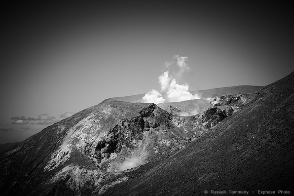 1DX_3633
