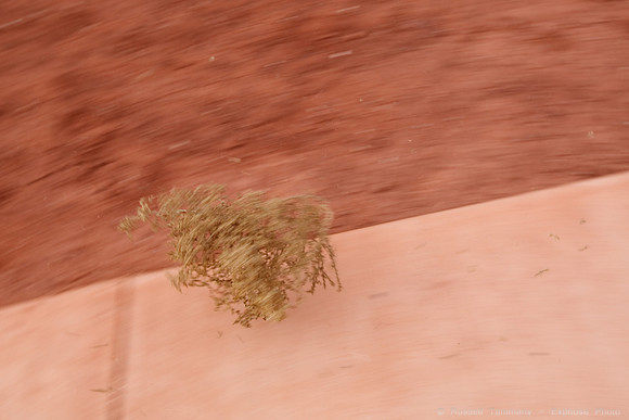 Canyonlands NP