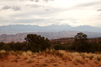 Dirt Trails