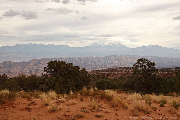 Dirt Trails