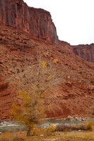 Red Cliffs Lodge