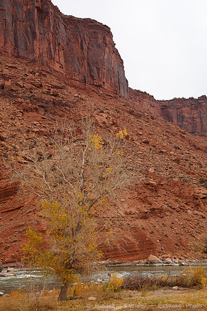 Red Cliffs Lodge