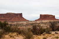 UT 313