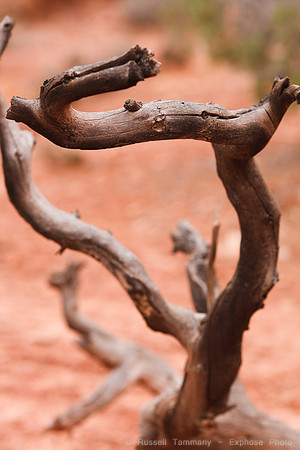 Canyonlands NP