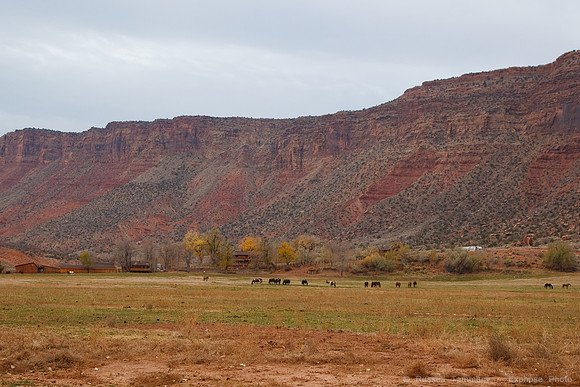 Red Cliffs Lodge