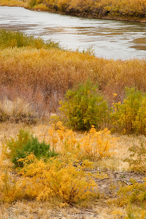 Along Colorado River near Moab UT