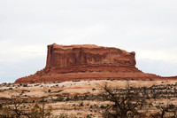 UT 313