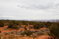 Dirt Trails