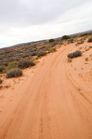 Dirt Trails