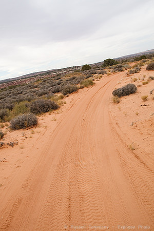 Dirt Trails